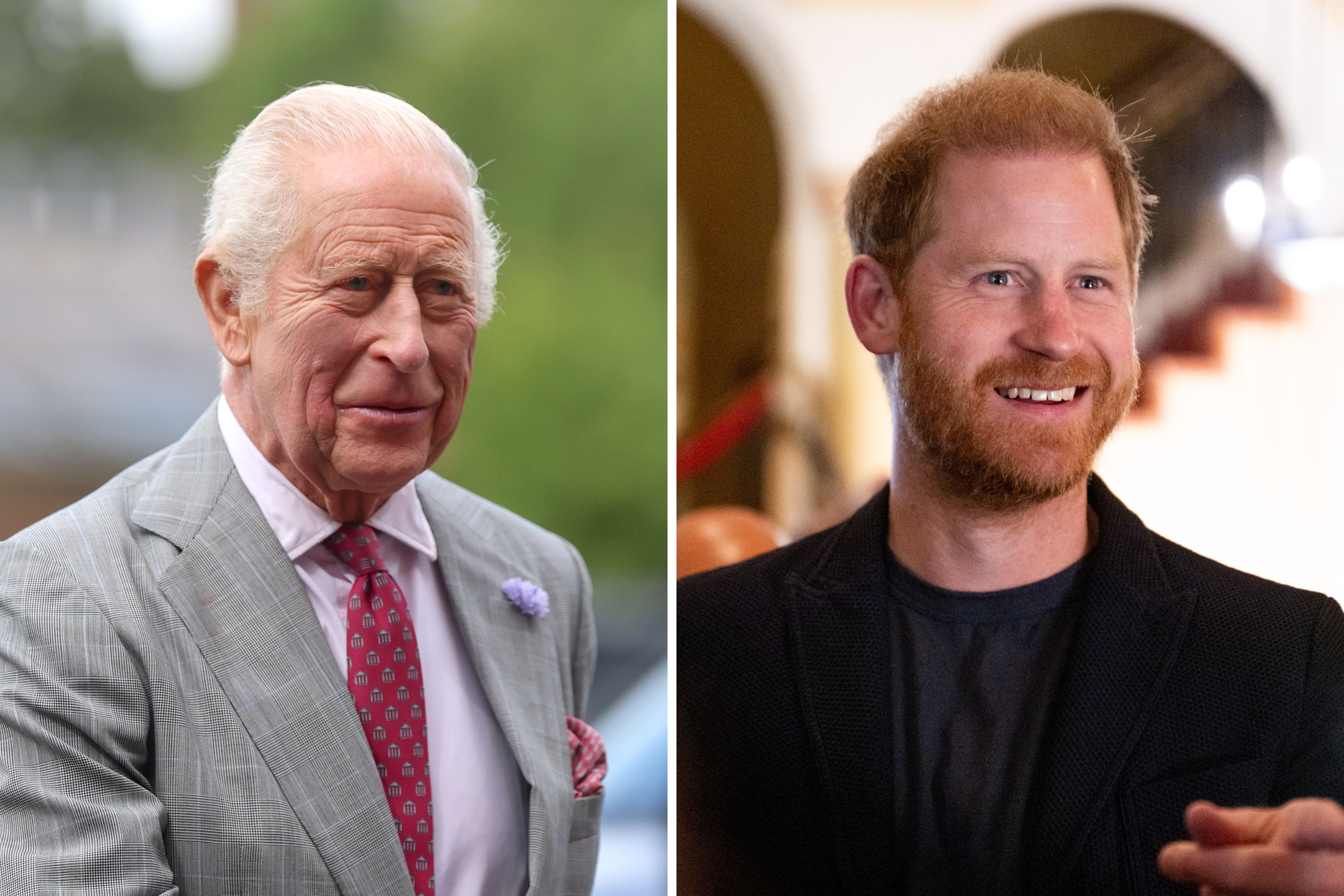 Prince Harry Faces Setback Meeting King Charles During UK WellChild Visit
