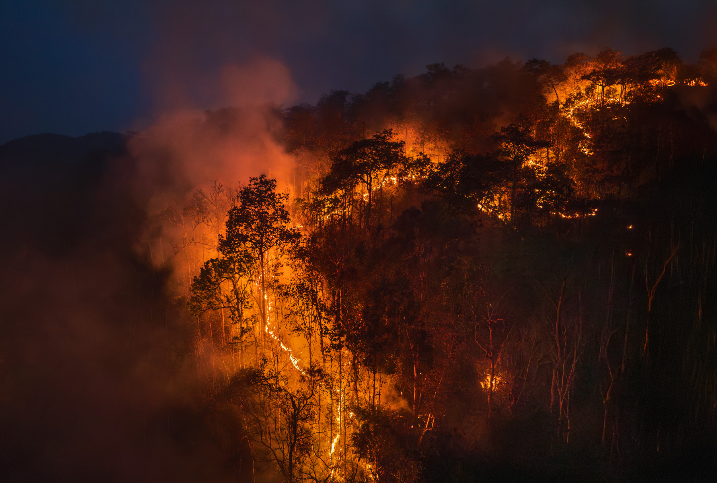 https://d.newsweek.com/en/full/2715491/california-lightning-fires.jpg