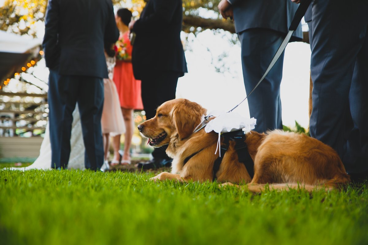 Casamento