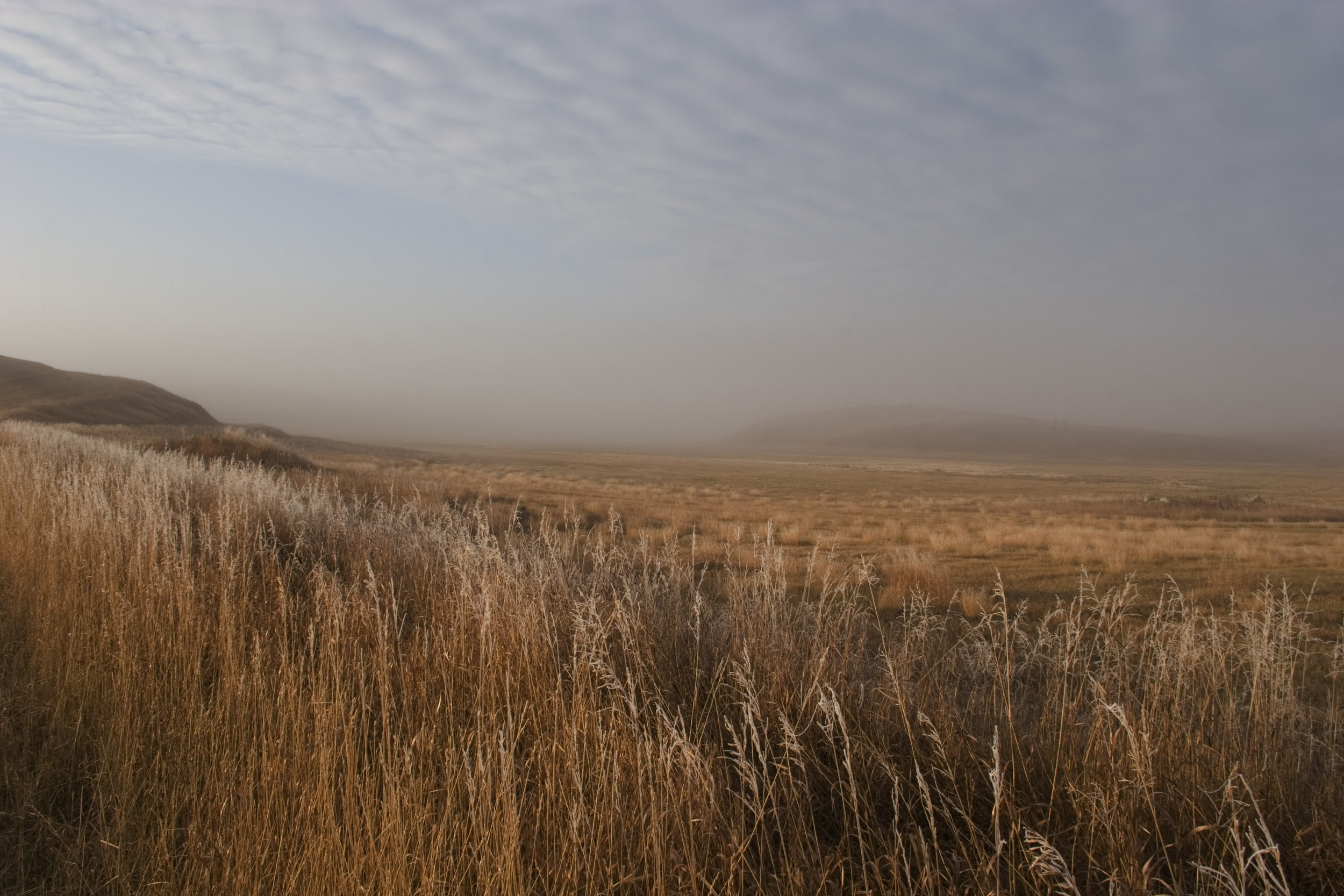 Thousands Face Sub-Freezing Weather Warning