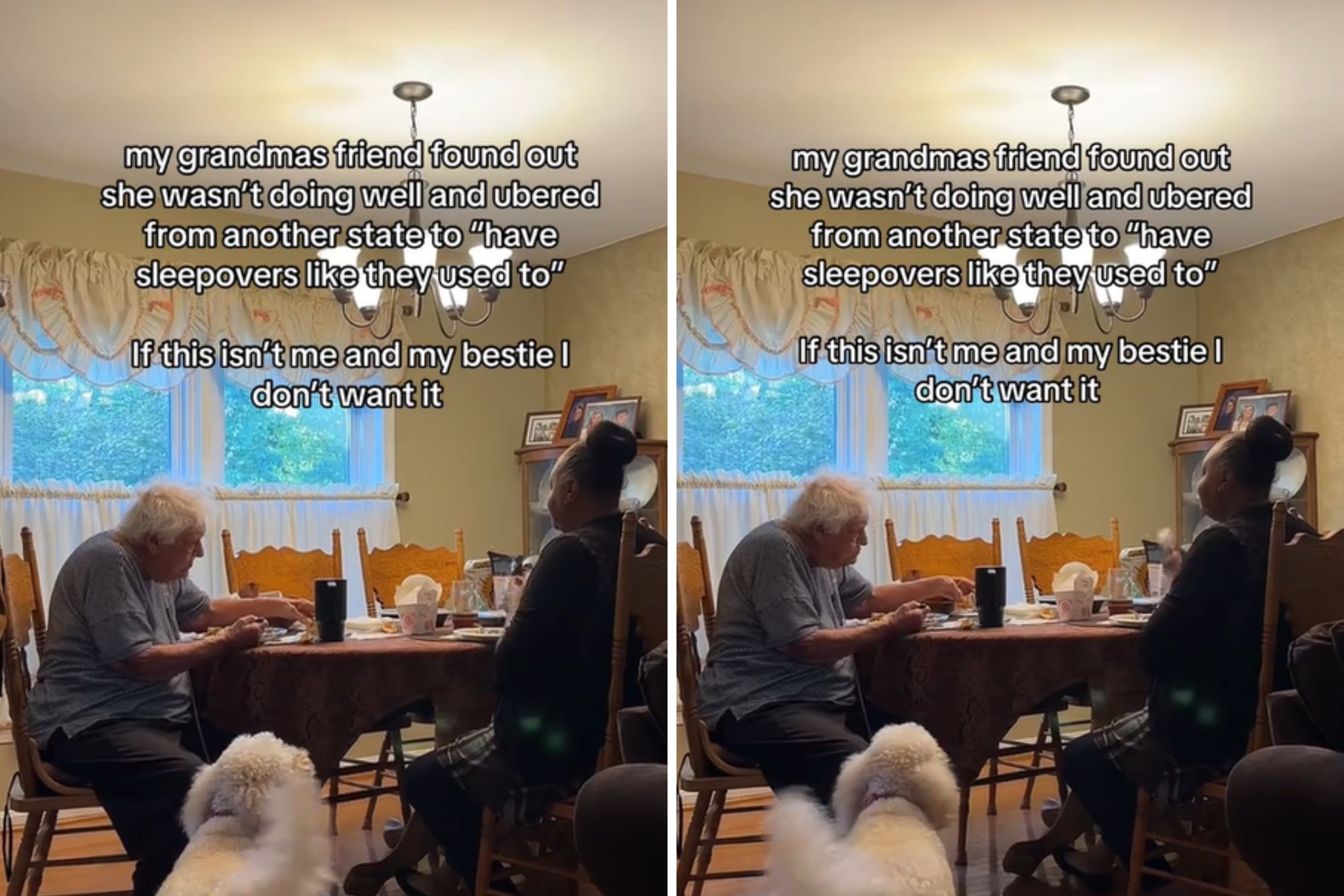 Woman Captures What Grandmas Best Friend Does for Her: Crying Woman Captures What Grandmas Best Friend Does for Her: Crying