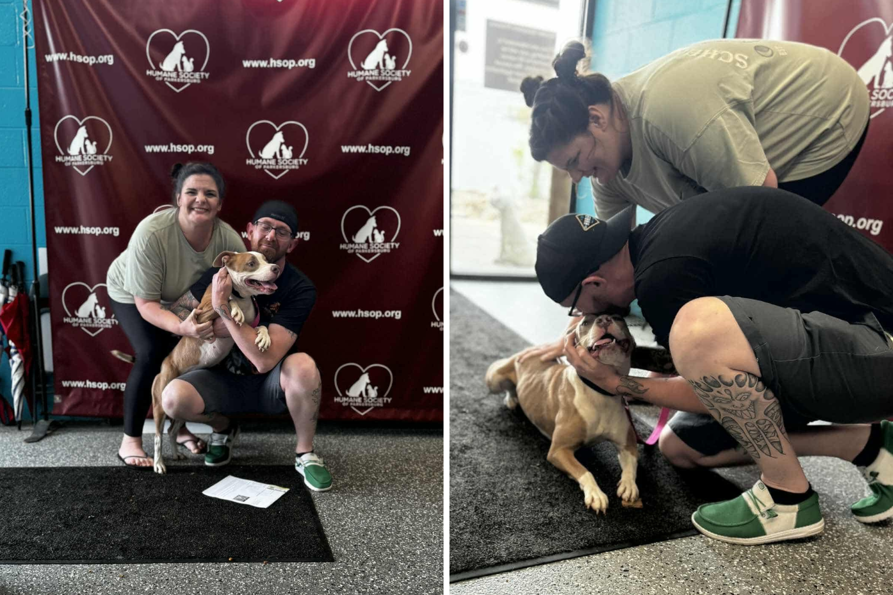 Hearts Melt at Moment Dog Lost for Months Is Reunited With Family