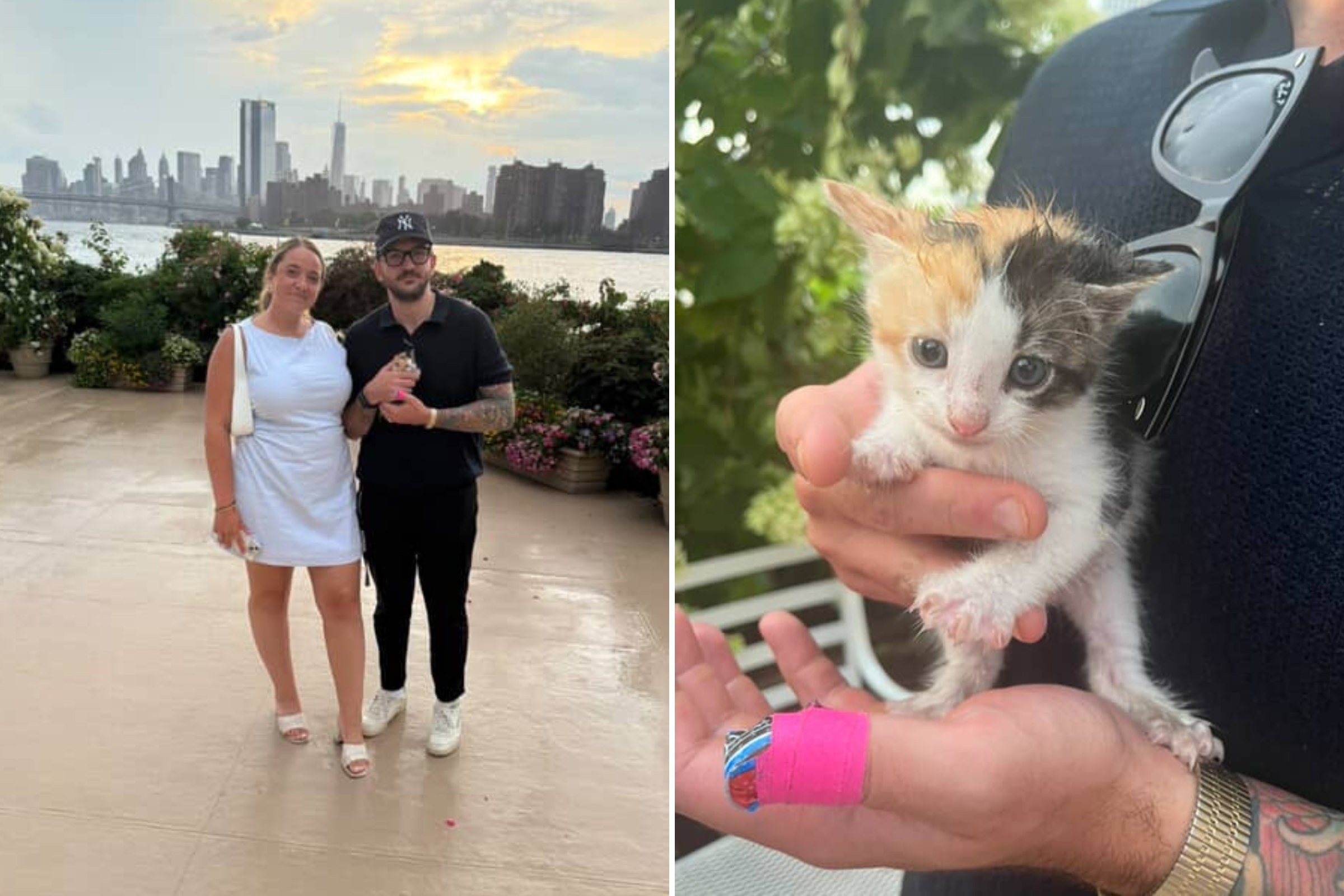 Stray Kitten Appears During Wedding Venue Tour&mdash;Couple Know What To Do