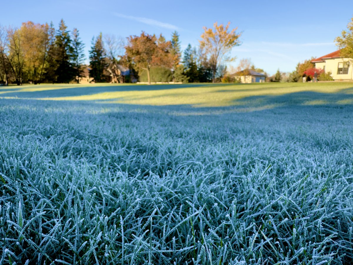 Summer frost warning