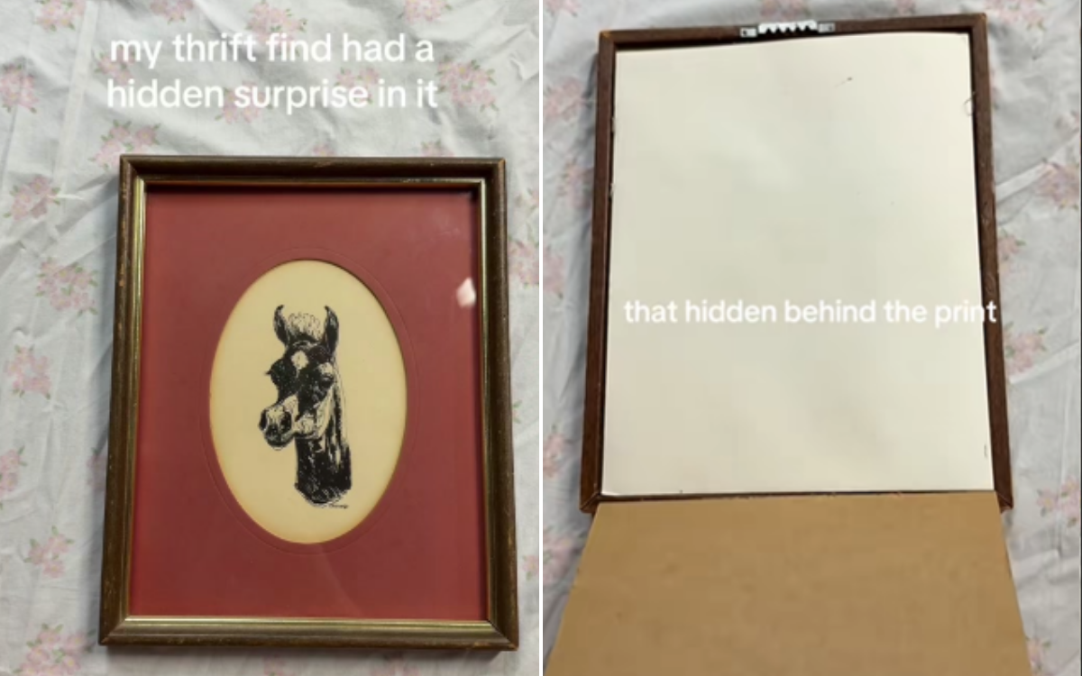 Woman Buys Thrift Store Painting&mdash;Discovery Hidden Behind Changes Everything