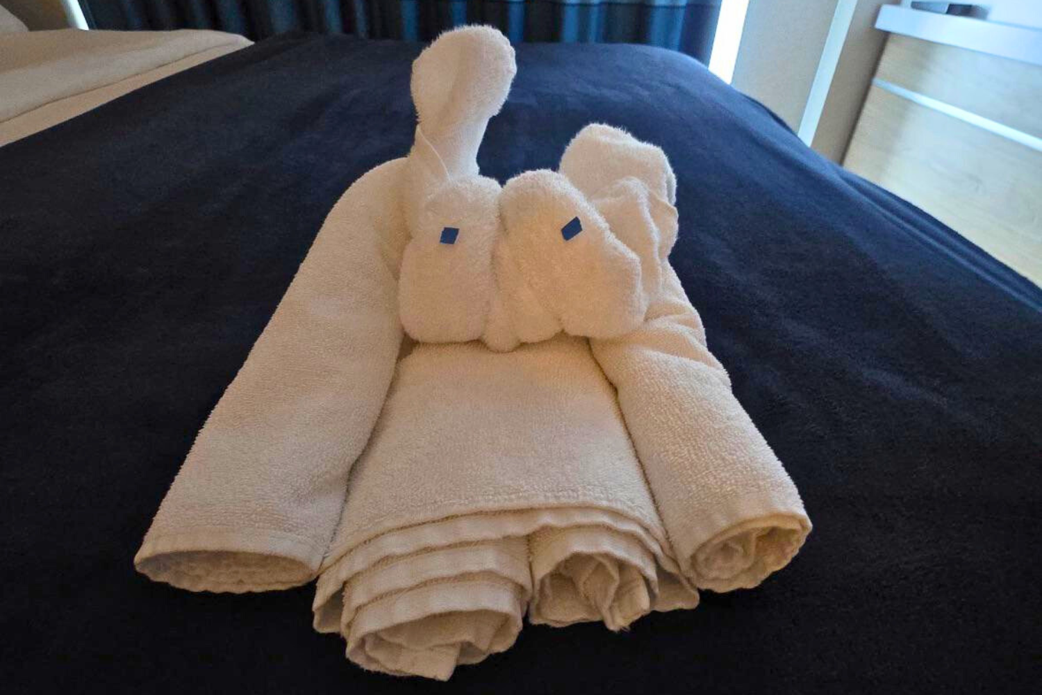Cruise Ship Towel Animal Leaves Passenger Stumped: Any Guesses?