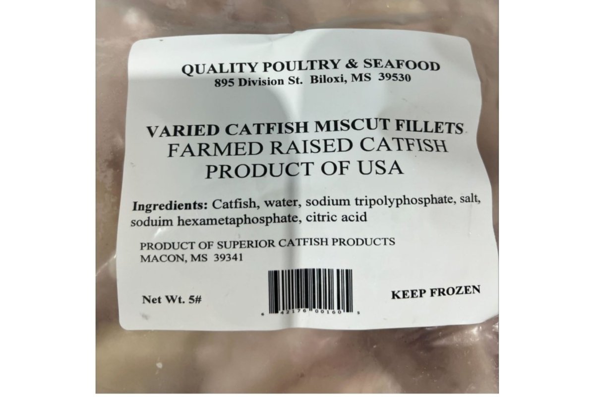 記住cat魚的切片 