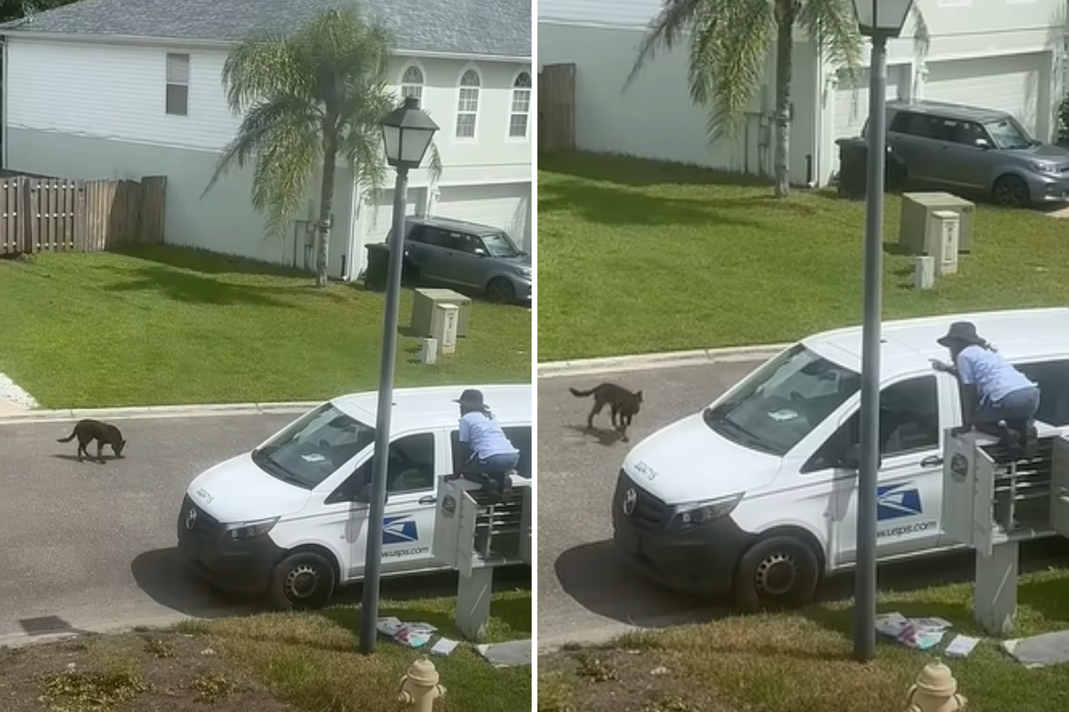 Off-Leash Dog Heads for Postal Worker—What Happens Next Caught on Camera