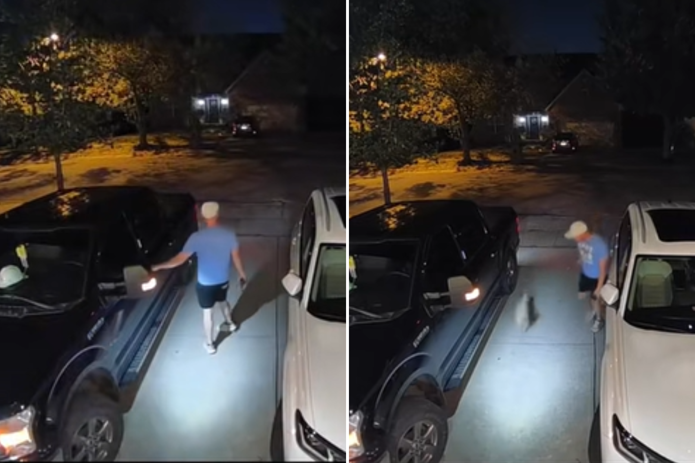 Moment Dog Returns 'Like Nothing Happened' After Going Missing For 6 Days