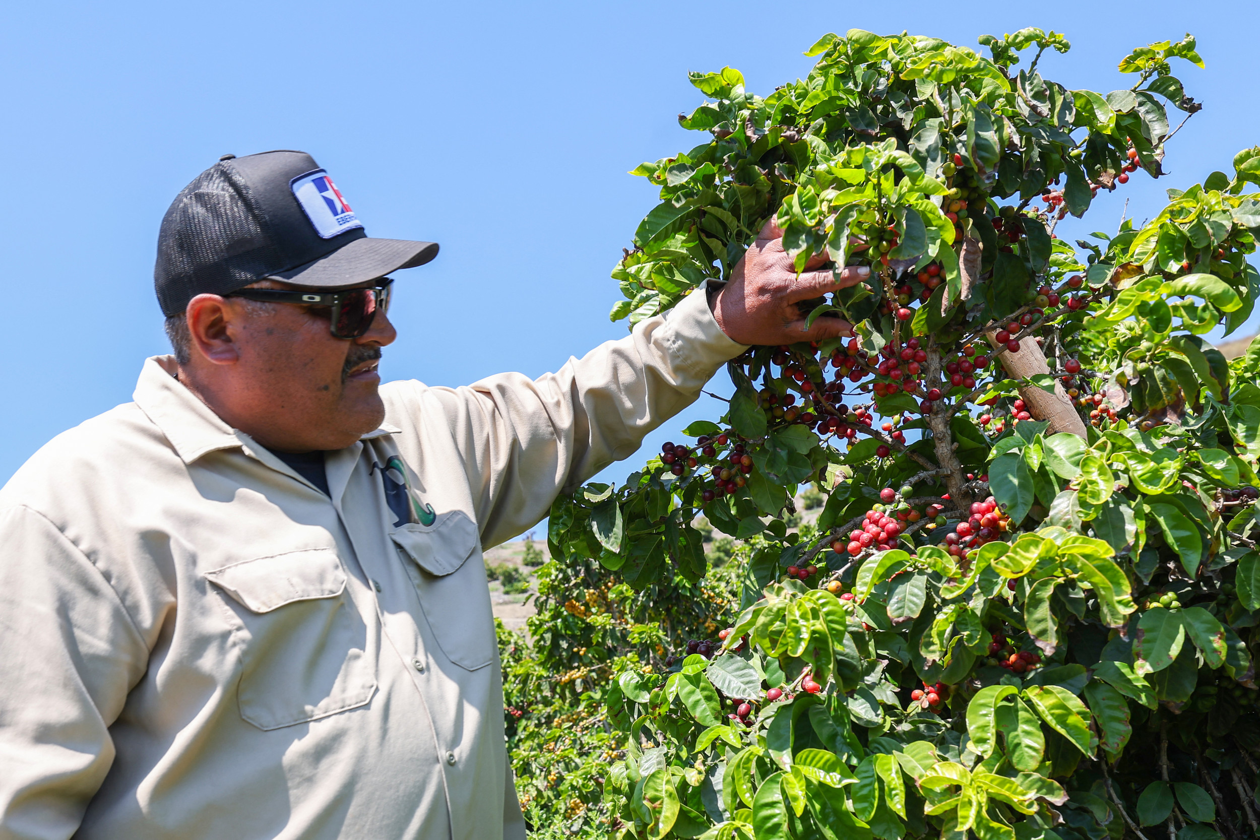 Trump Admin Hands Immigrant Farm Workers Major Win