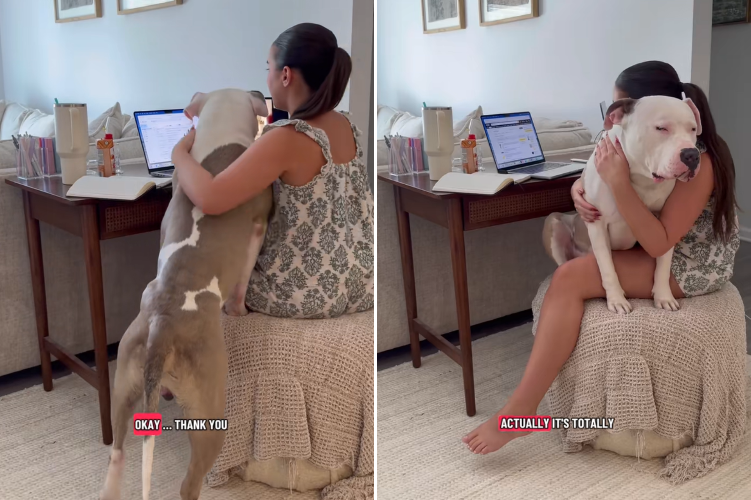 Woman Sits Down To Work—Hearts Melt Over Her Rescue Dog's Demands