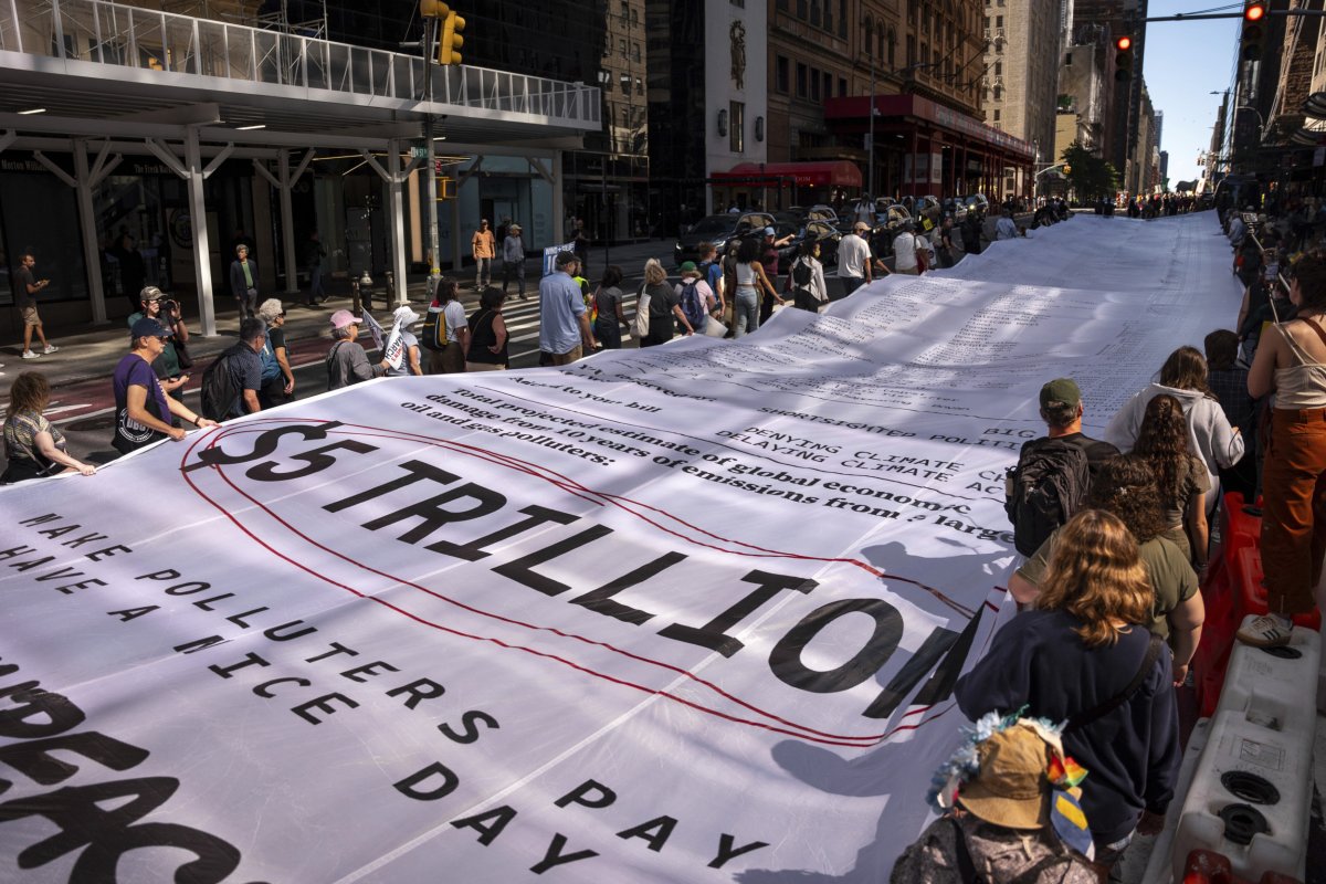 Proteste climatiche di New York