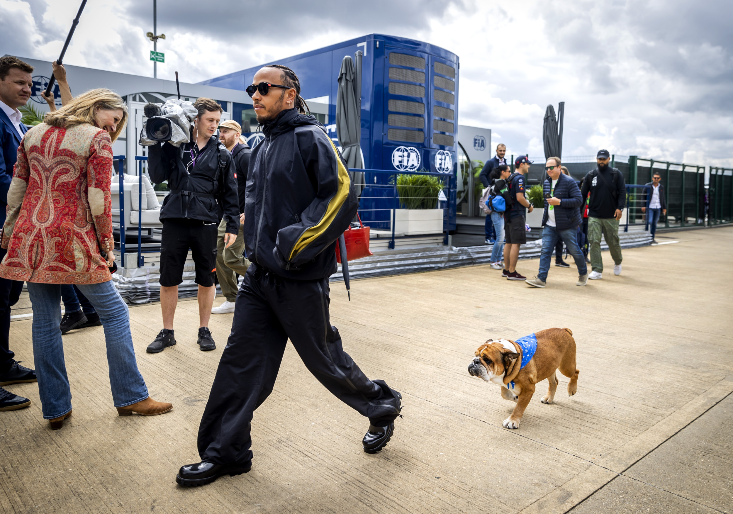 How Lewis Hamilton's Dog Roscoe Shot to Fame With More Than 1M Followers