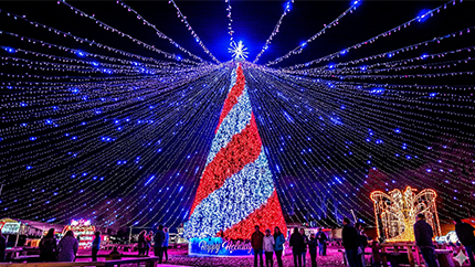 Winter City Lights