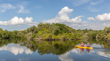 Clear Kayak