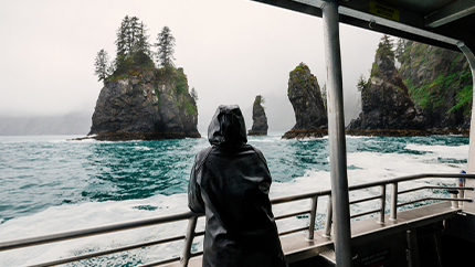 Juneau Wildlife