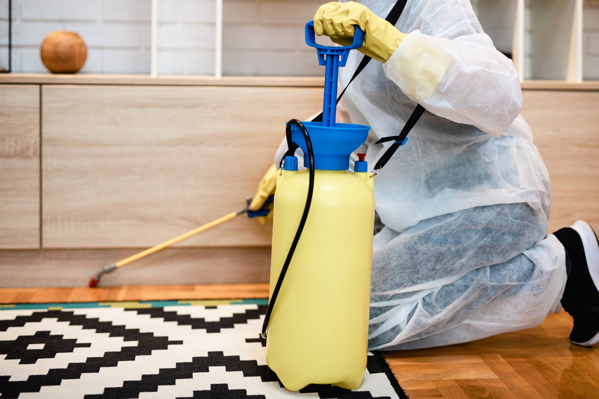 Best Pest Control Company 2026 - Newsweek