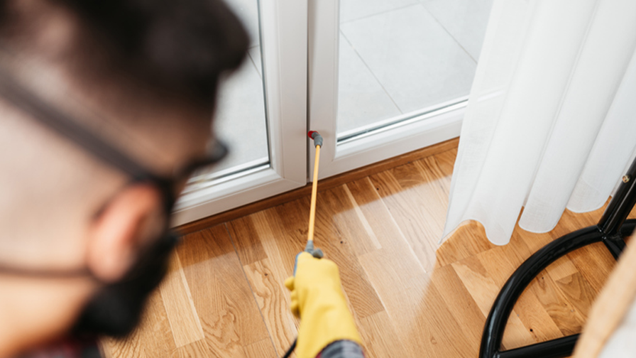 Best Pest Control Company 2026 - Newsweek