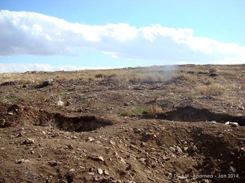 Apamea14