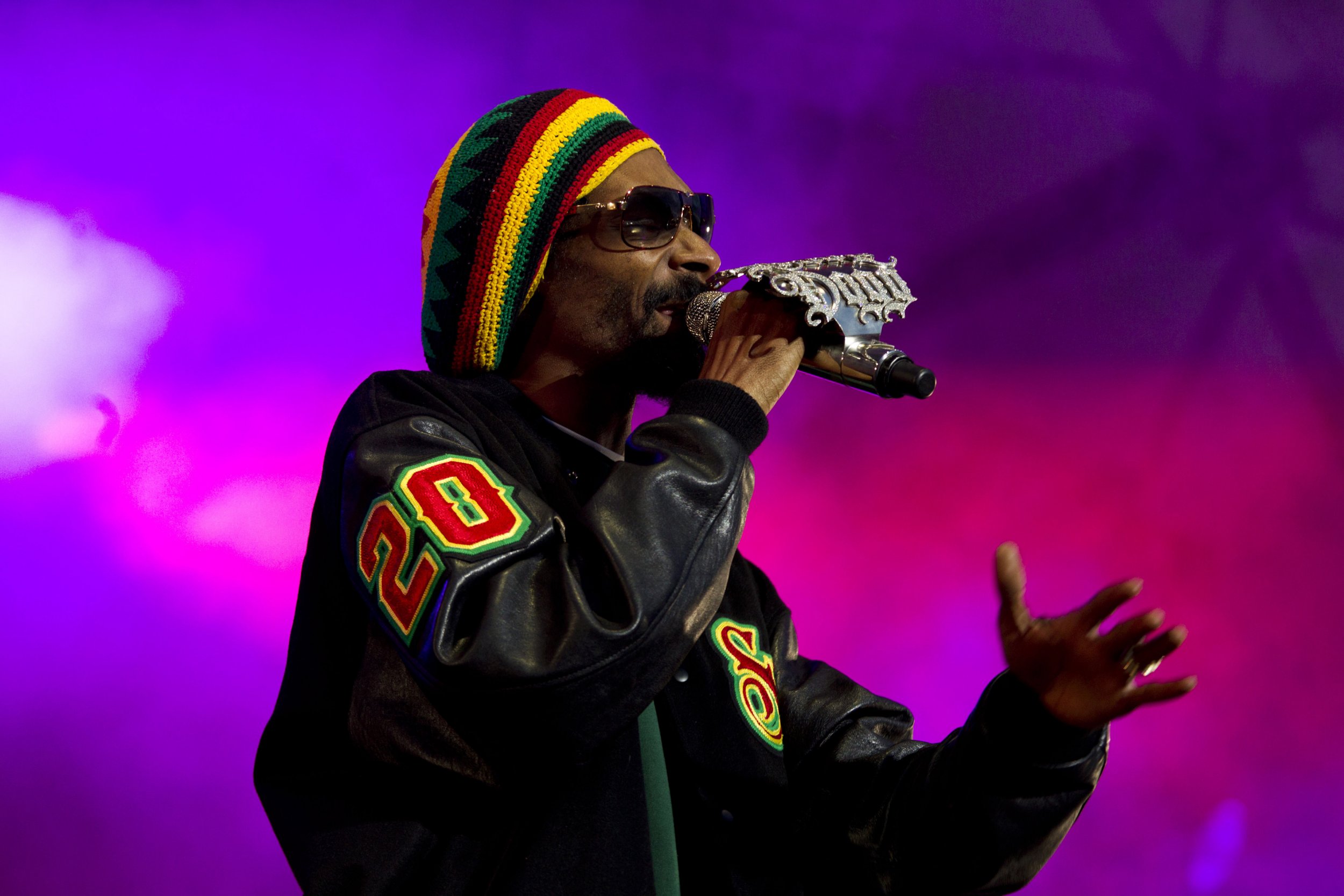 snoop doggy dogg concert