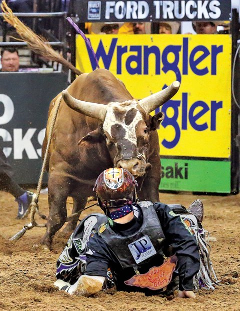 Bushwacker Is the Michael Jordan of Bulls