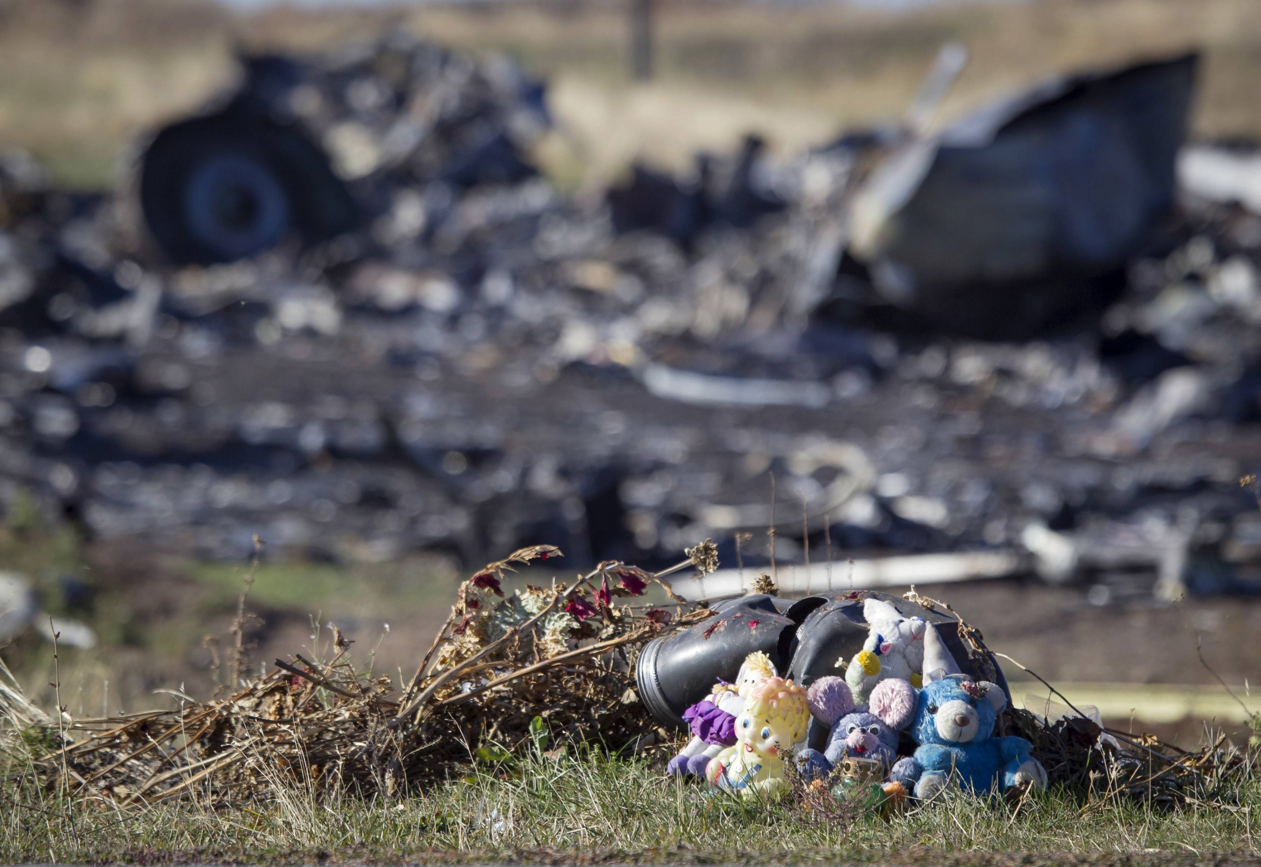 German Intelligence Agency Blames Pro Russian Rebels For Downing Of Flight Mh17