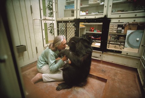 10_21_JaneGoodall_10