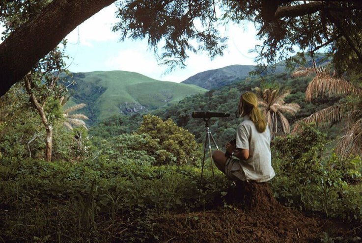 10_21_JaneGoodall_17