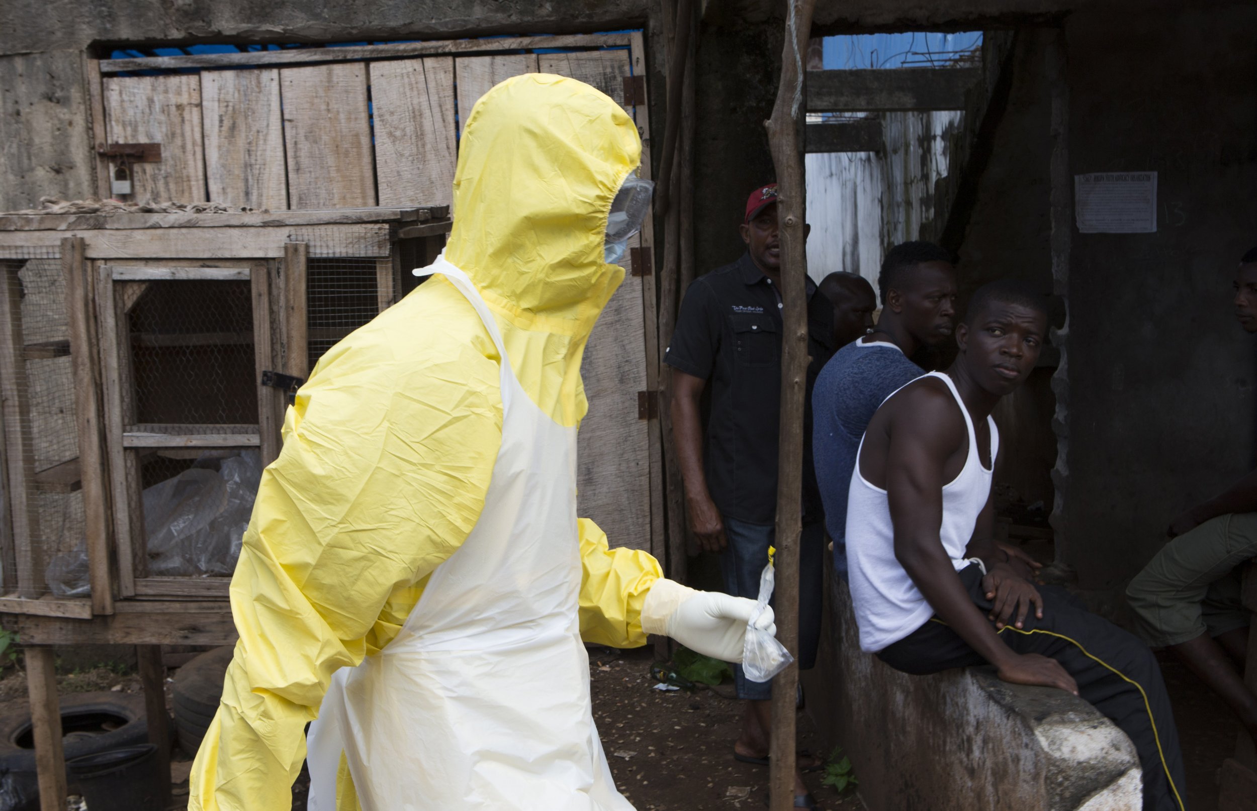 ebola numbers