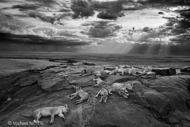10-23-14 WPY Lions
