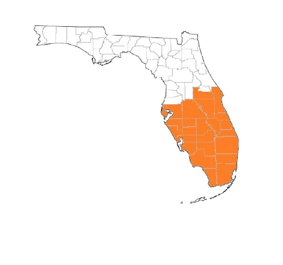 South Florida City Council Votes to Secede From Florida, Citing Rising ...