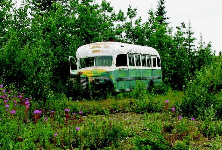 Bus 142 Bus 142