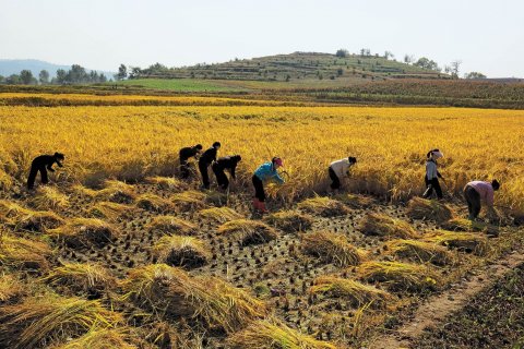 11_28_NorthKorea_02