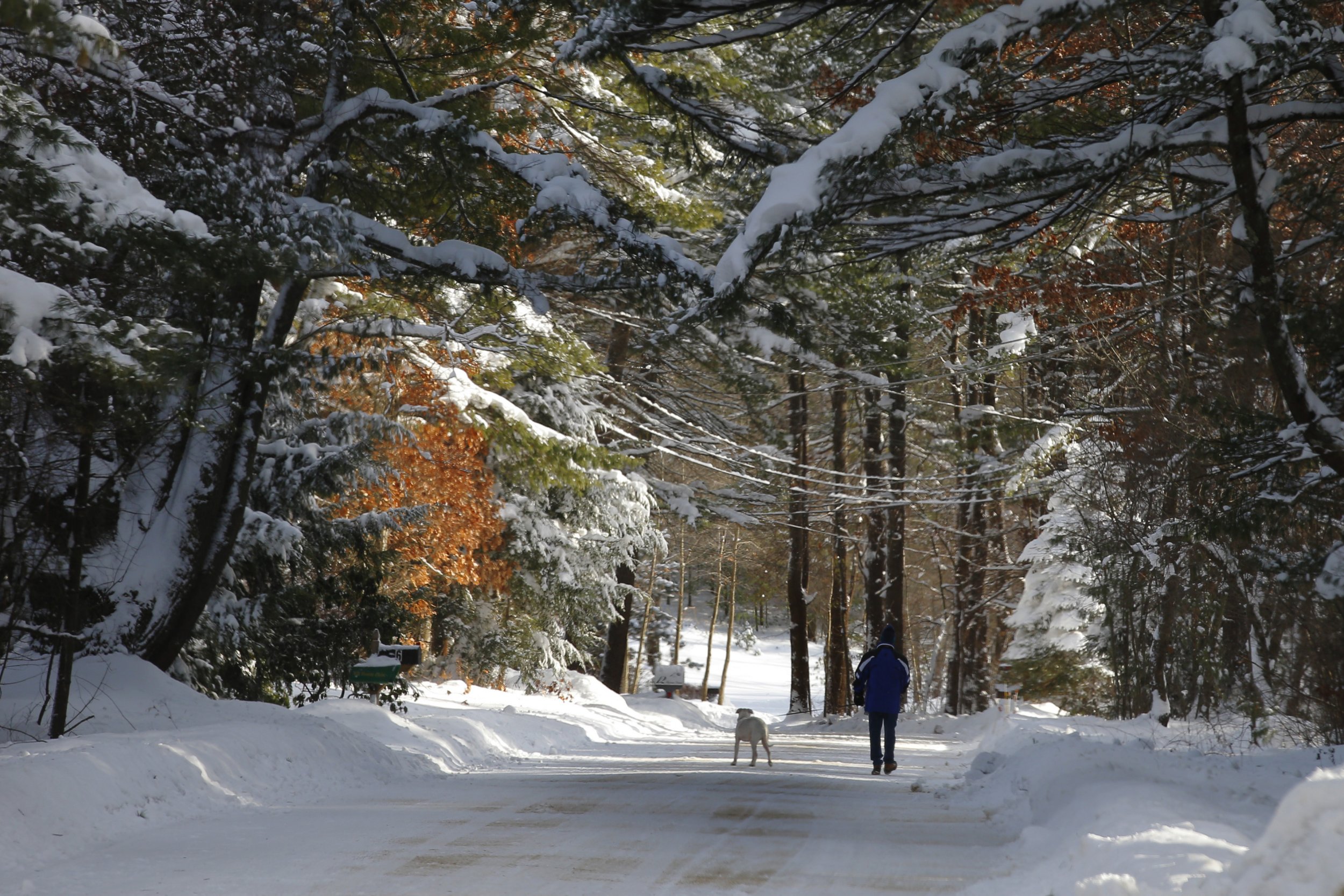 Noreaster Noreaster