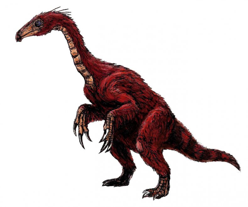 dino1