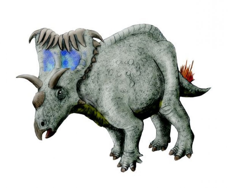 dino2