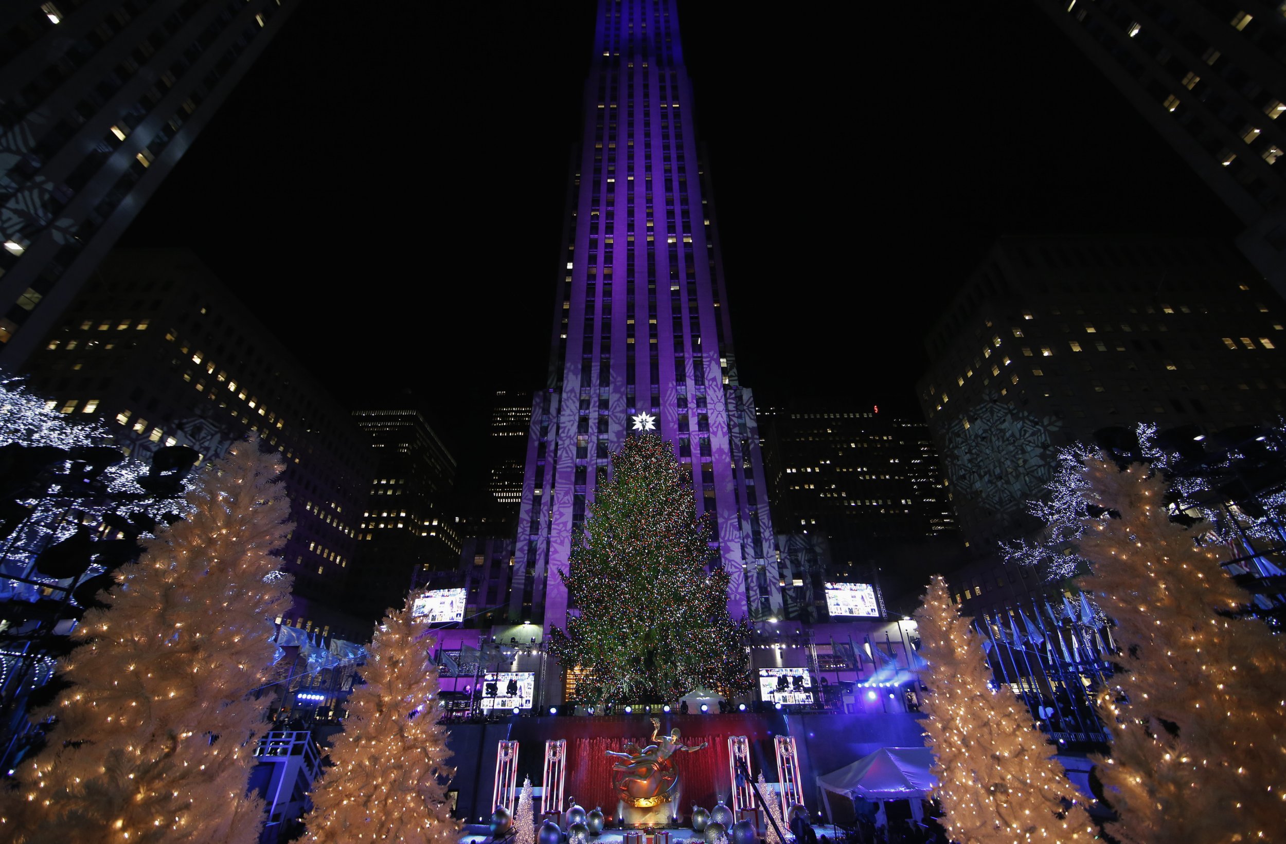 Photos: It's Beginning to Look a Lot Like Christmas - Newsweek