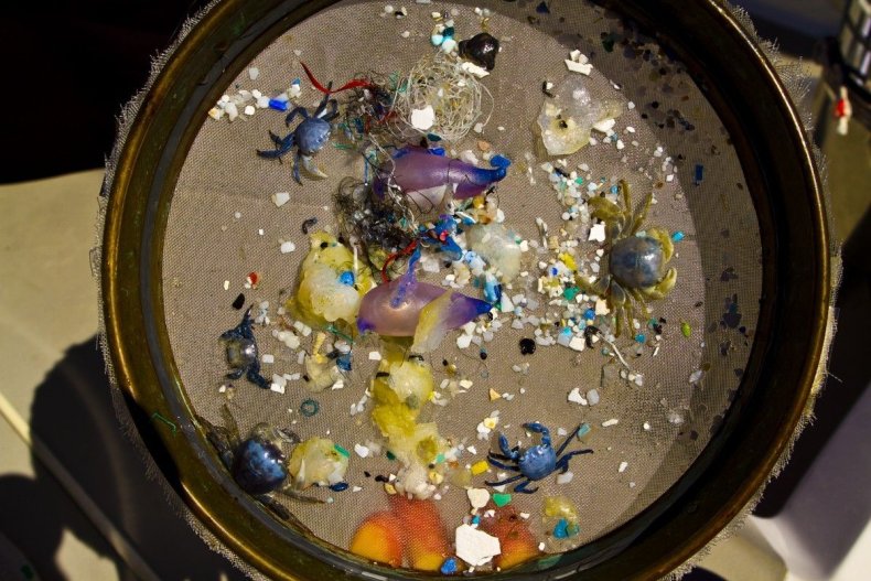 plastic-trash-filter-crabs
