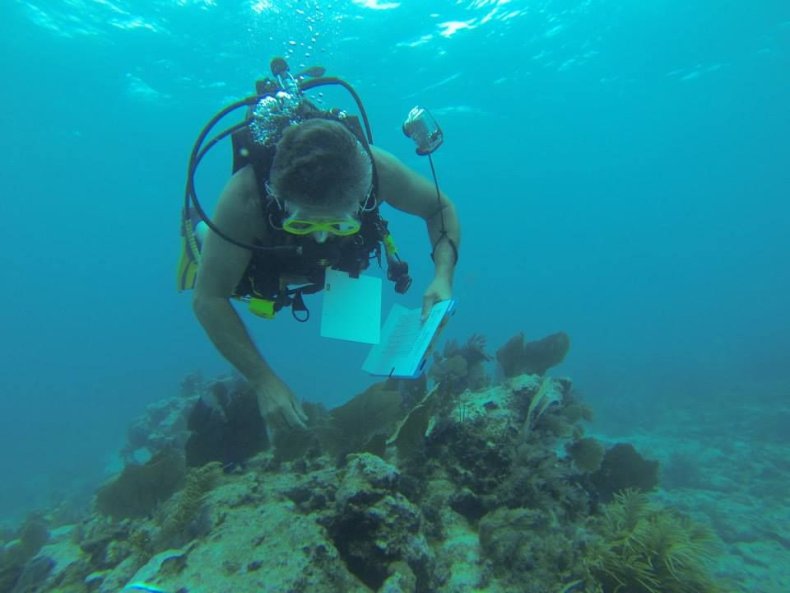 bruce_cantrell_diving