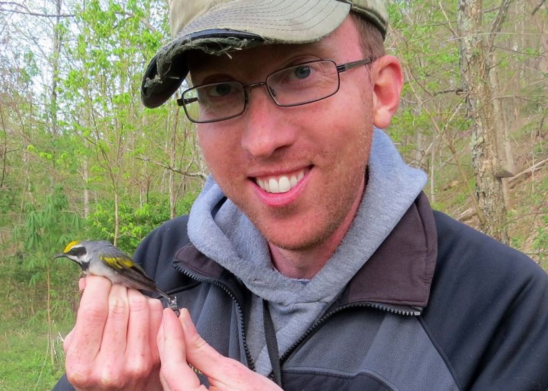 henry-streby-warbler