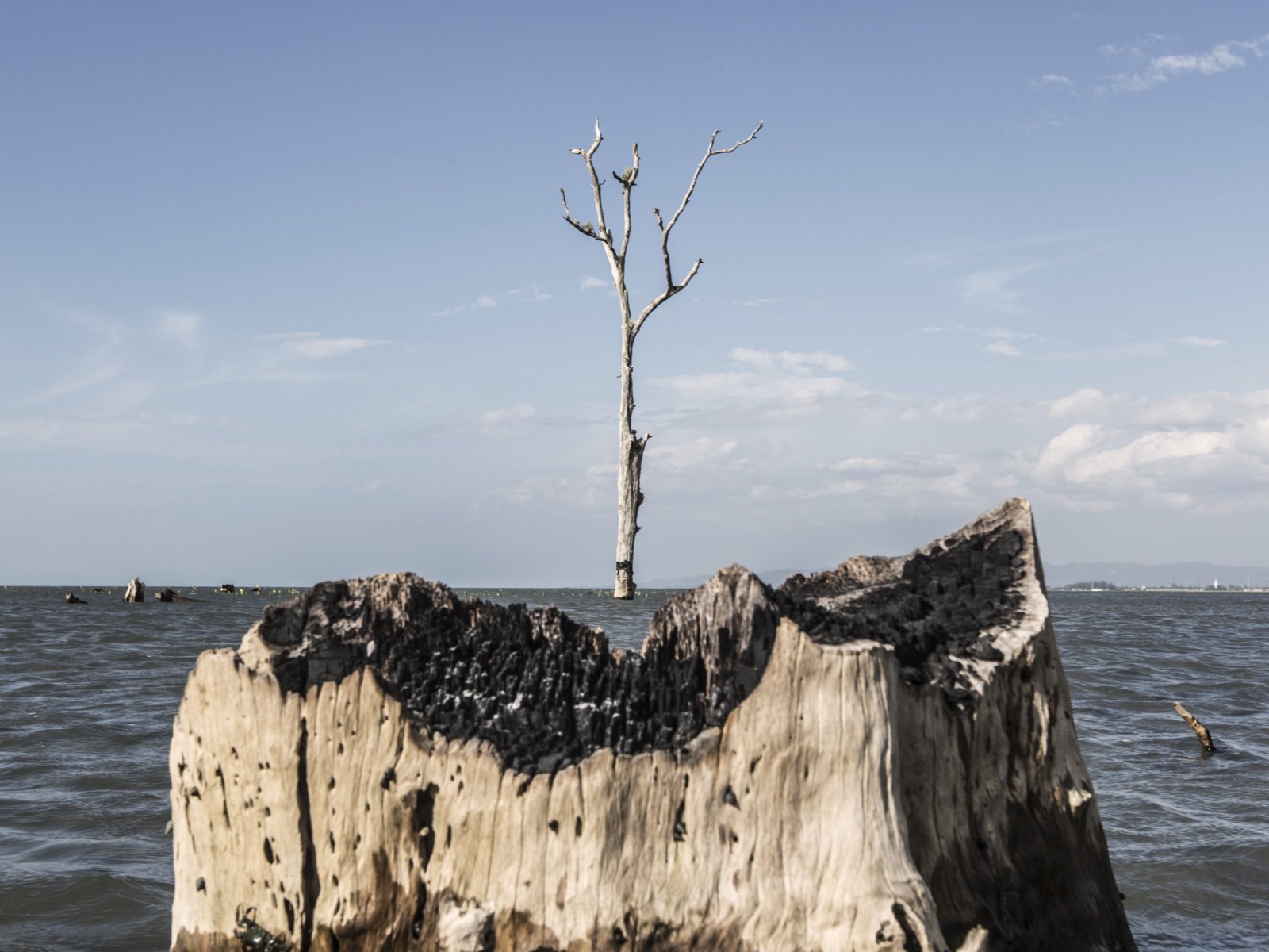 Photos 10 Years After Indian Ocean Tsunami The Coast And Its