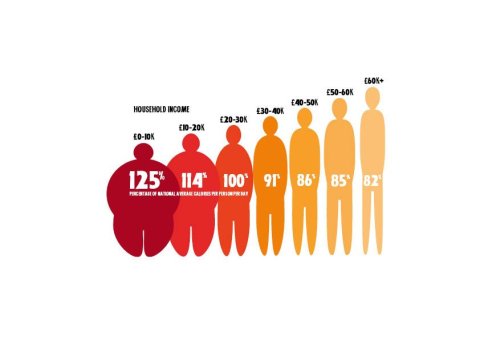 Obesity Diagram