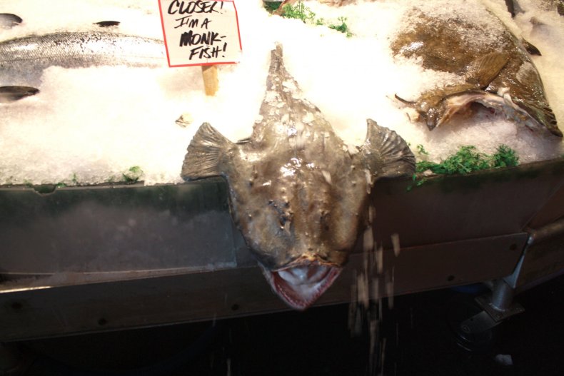 monkfish2
