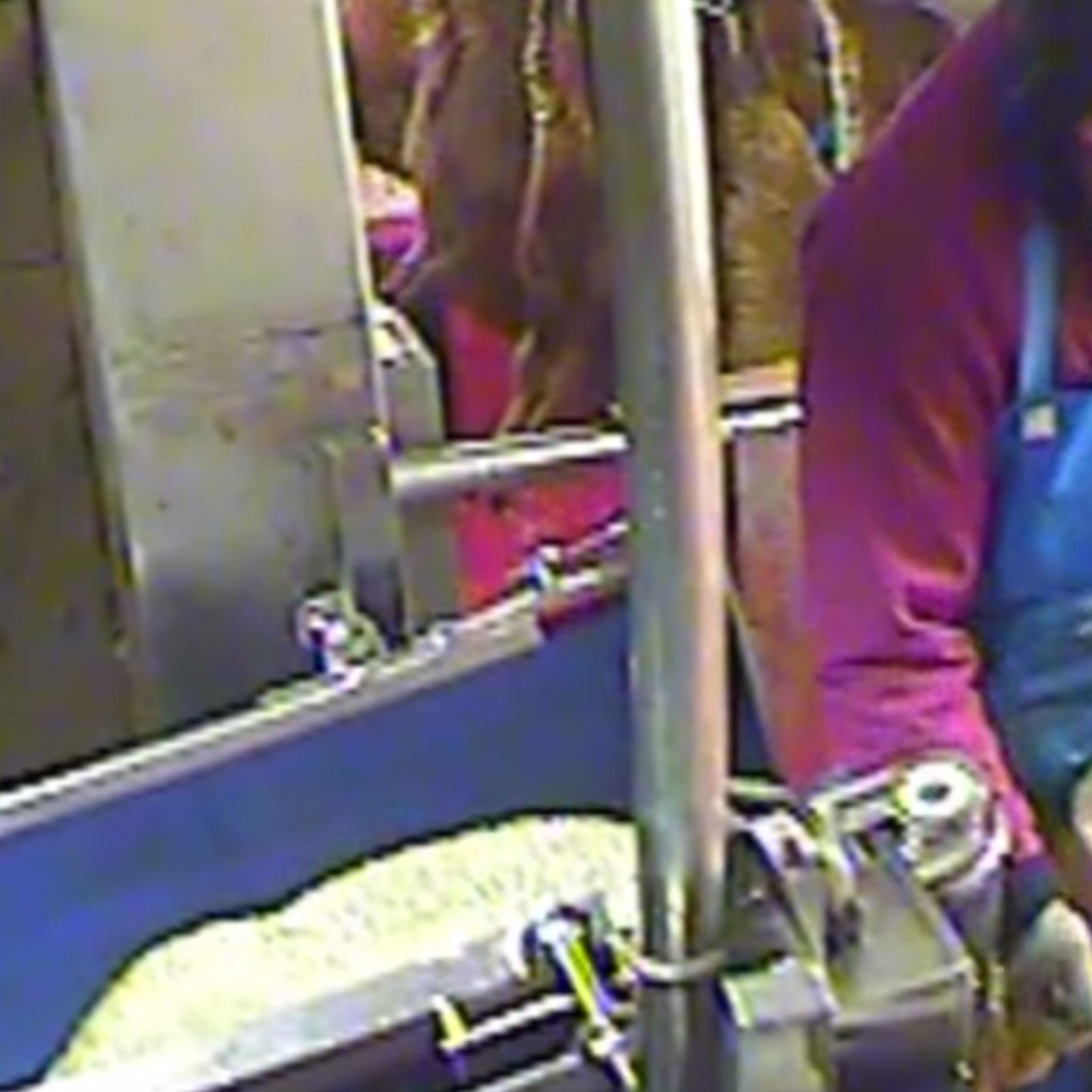 Animal Cruelty at Halal Slaughterhouse Highlights Widespread Abuse in UK