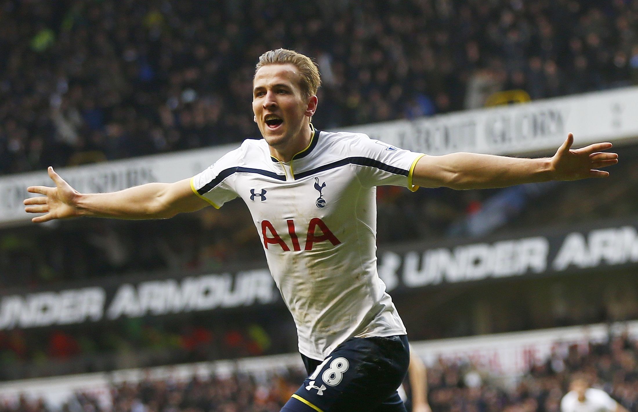 Harry Kane Celebrates