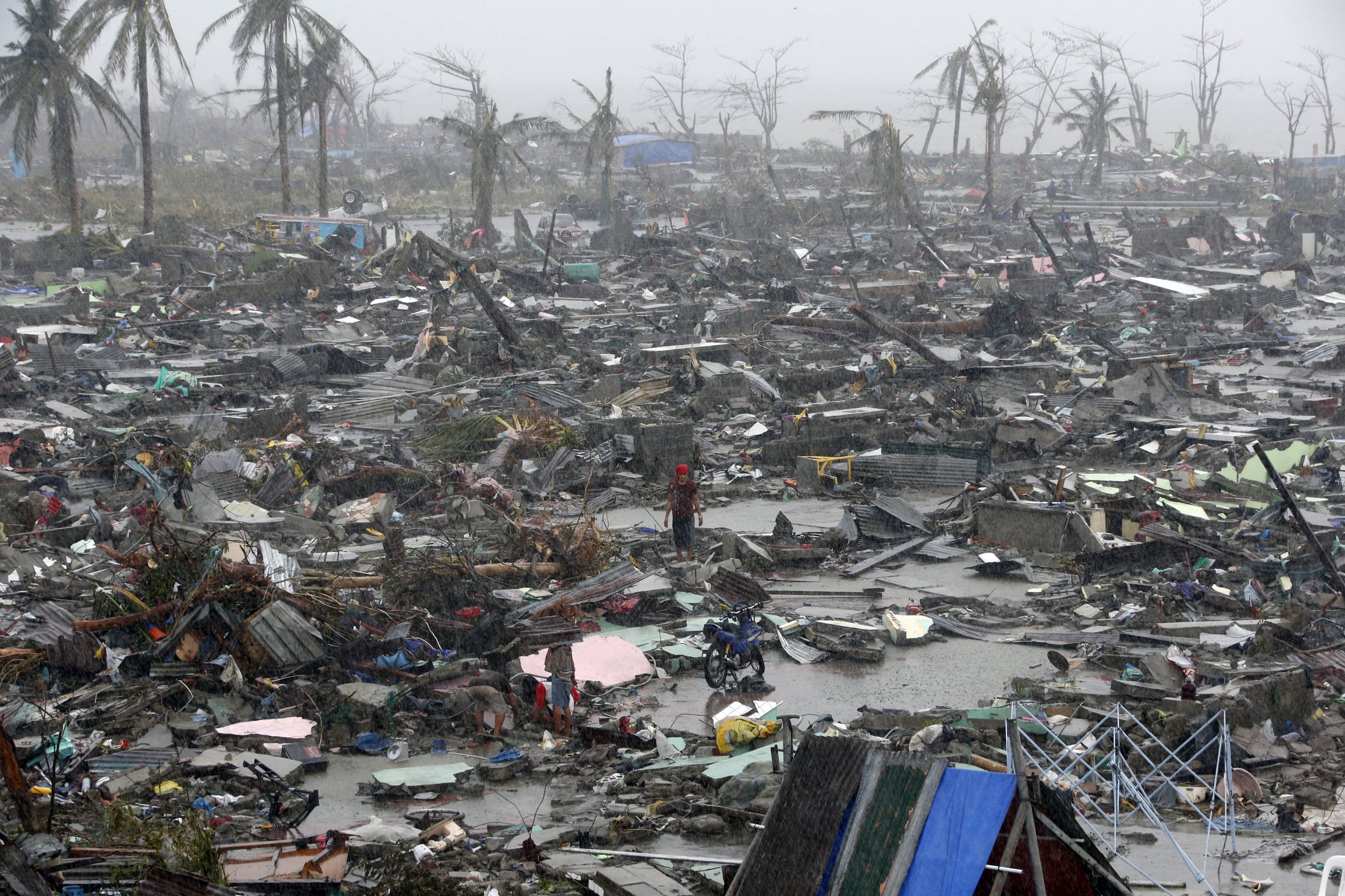 Typhoon Haiyan Bodies In Trees