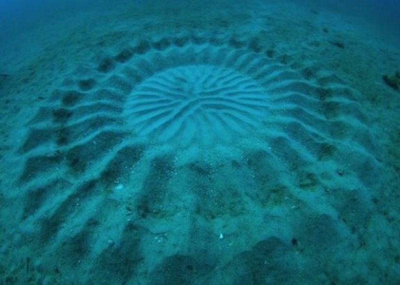 underwater-mystery-circle-1