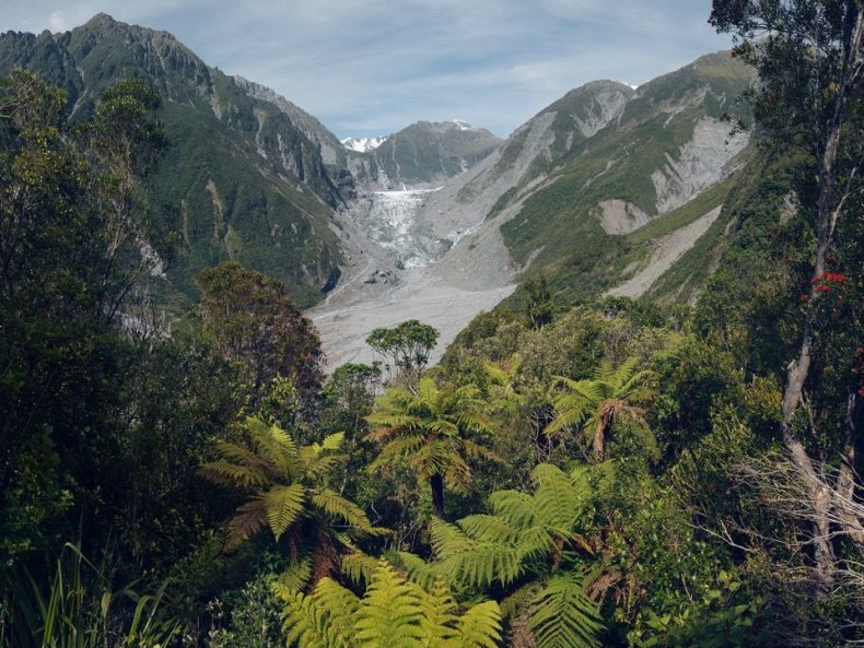 fox-glacier-new-zealand