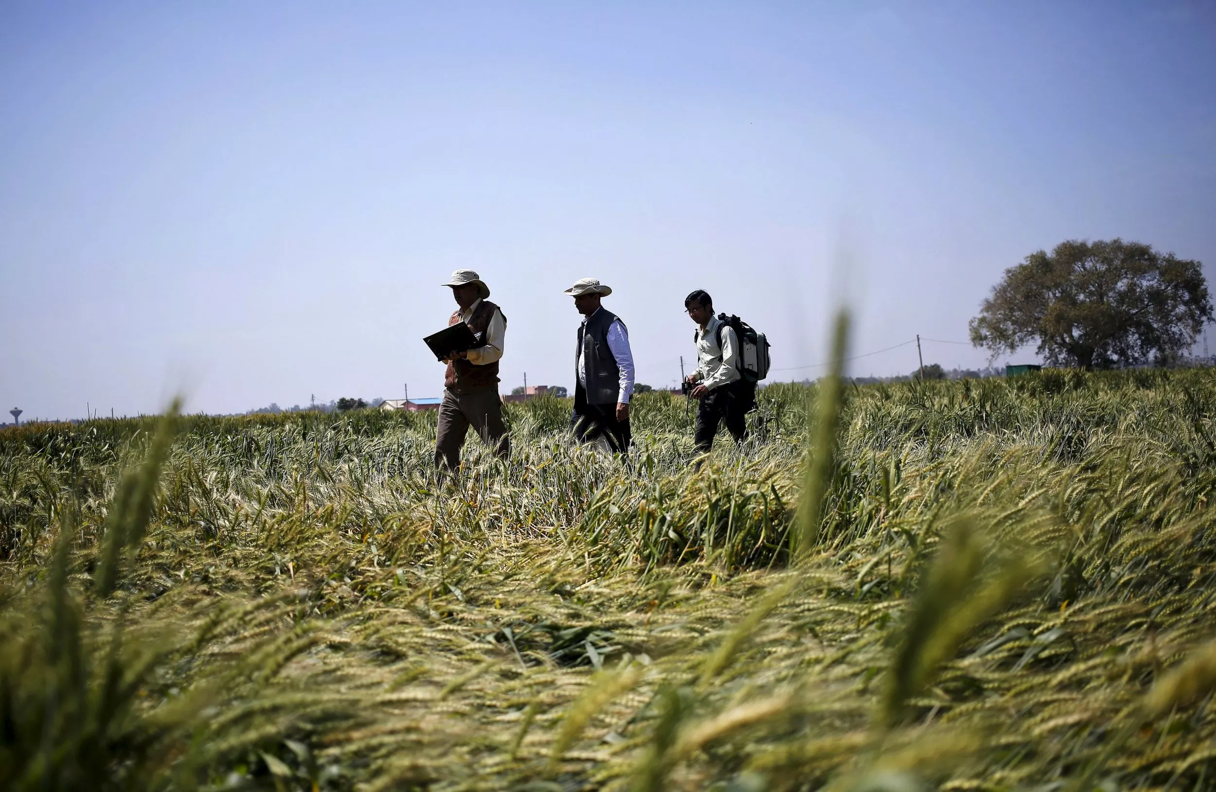 Quora Question: What Is the Future of Farming in India?