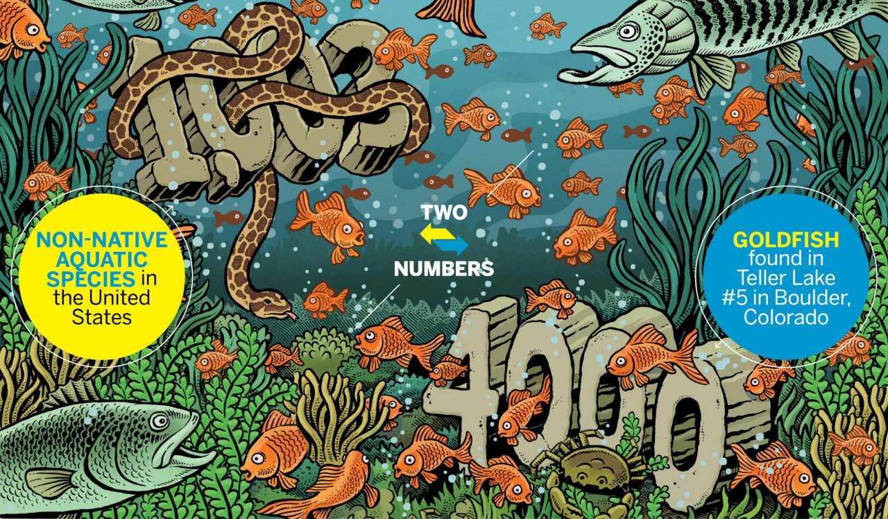 TwoNumbers0421
